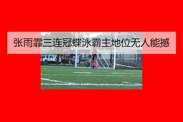 张雨霏三连冠蝶泳霸主地位无人能撼